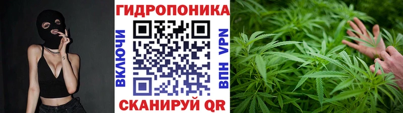 Купить закладку ГАШ  Бошки Шишки  Мефедрон  Енисейск