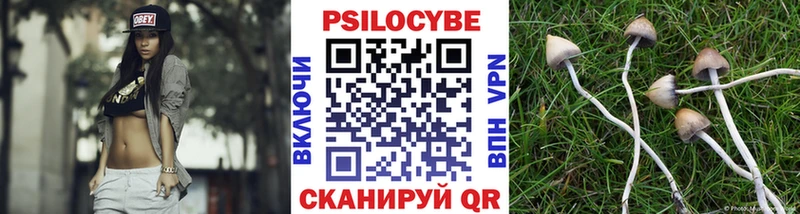 Купить  Енисейск  Галлюциногенные грибы Psilocybine cubensis 