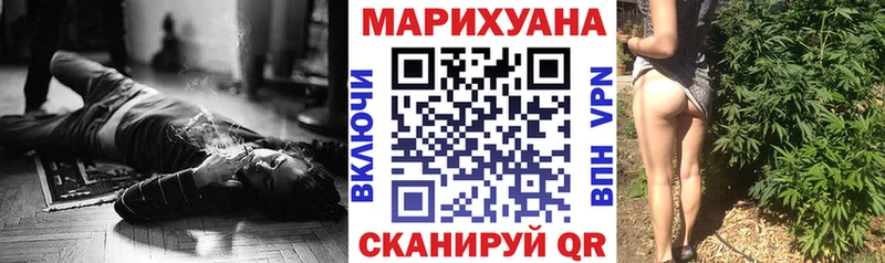Купить закладки  Енисейск  МАРИХУАНА SATIVA & INDICA 